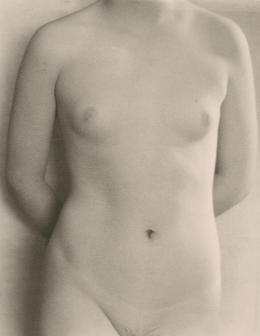 Torso, San Francisco