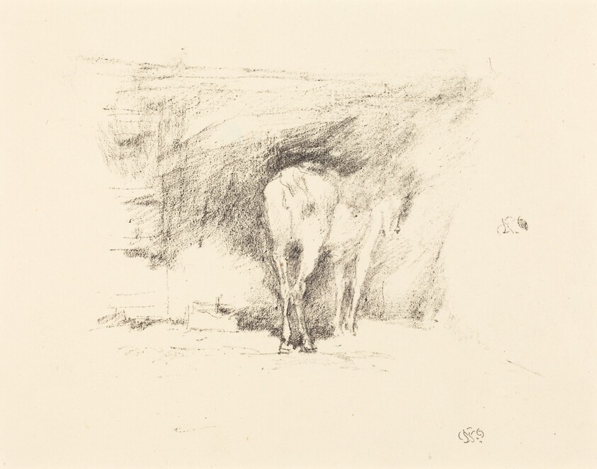 Study of a Horse