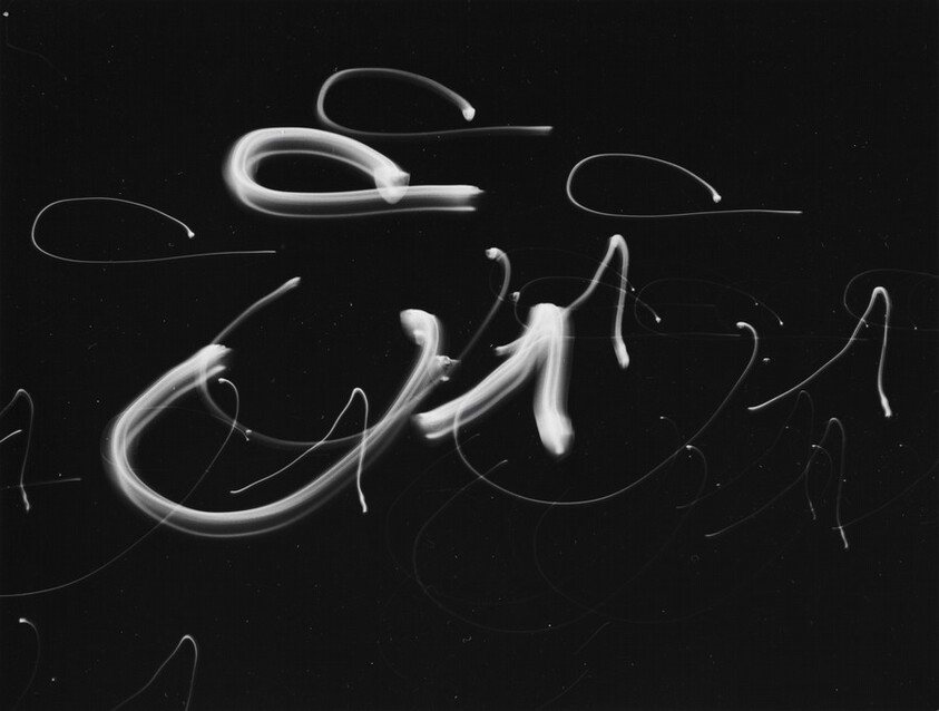 Camera Movement on Flashlight