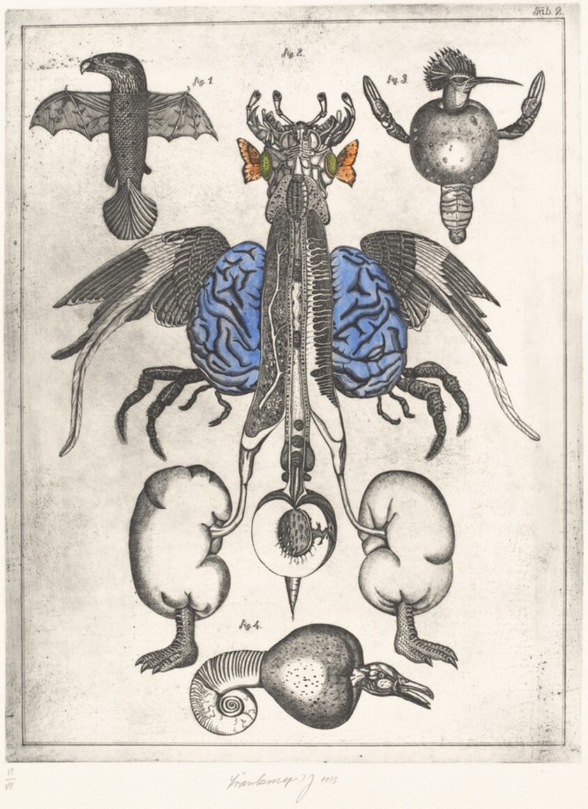 Prírodopis/Natural Science