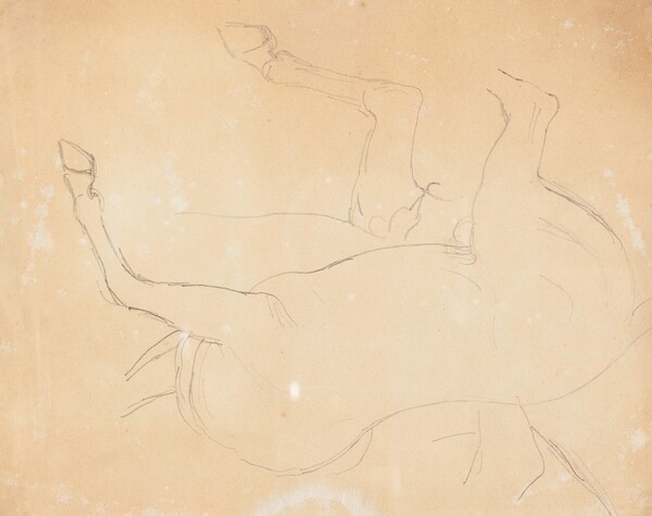 Study of a Horse [verso]