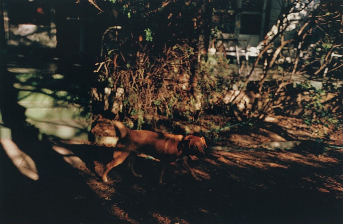 Untitled