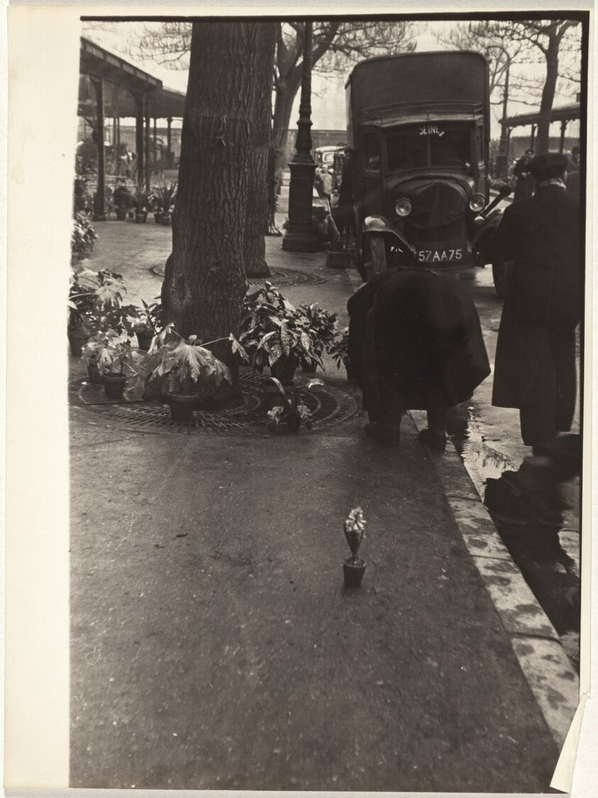 Flower vendor on street, Paris