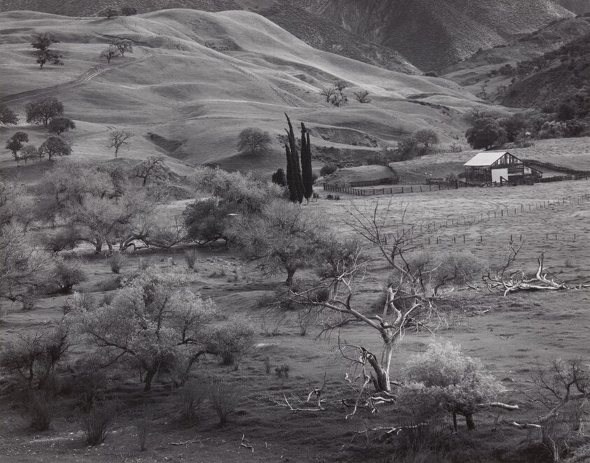 Spring near Tres Pinos, California