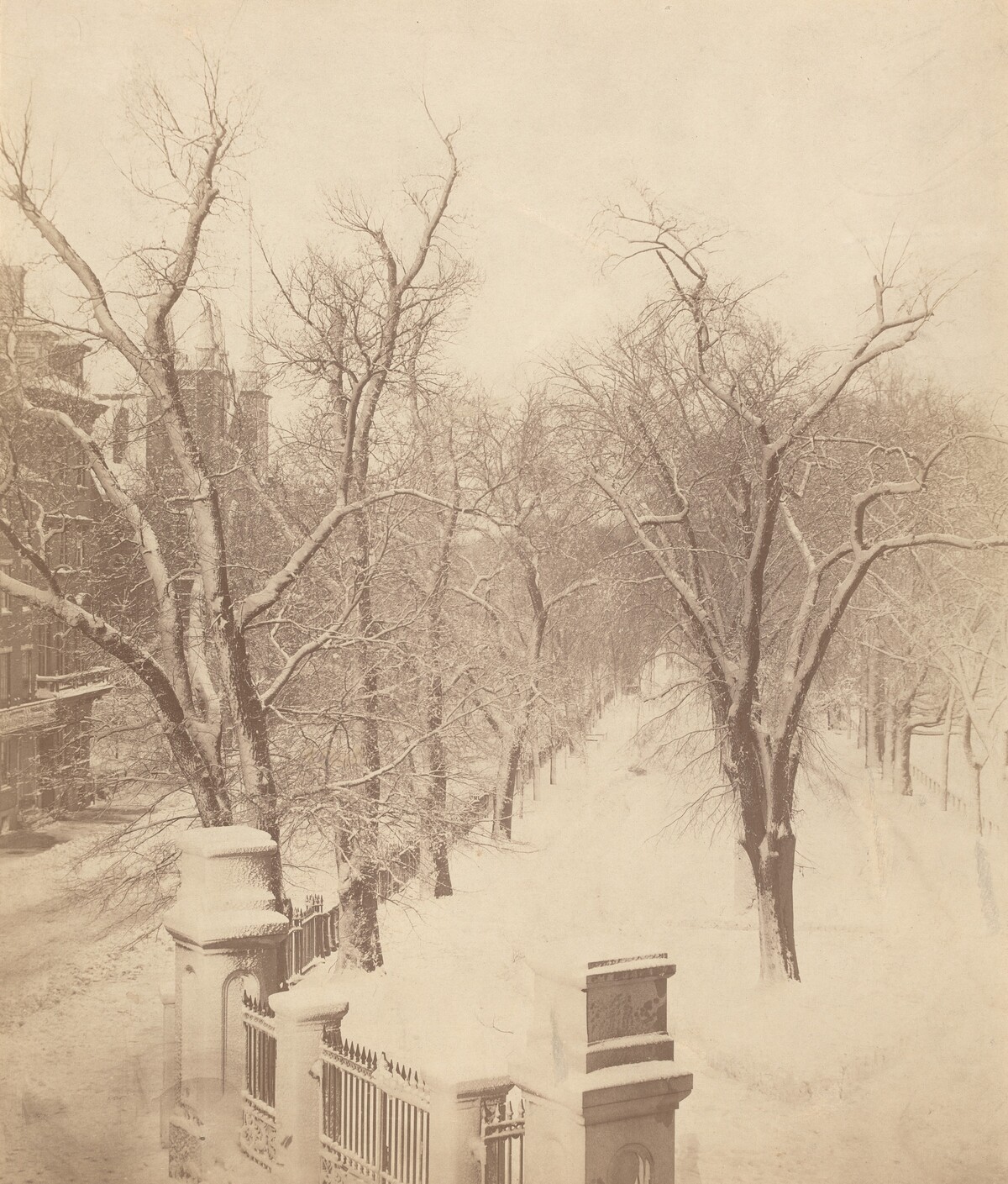 Boston Common Snow Scene