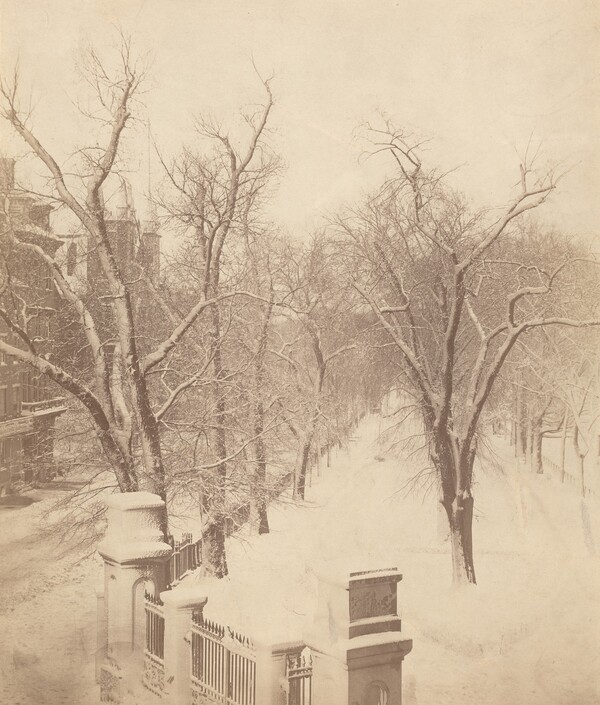 Boston Common Snow Scene