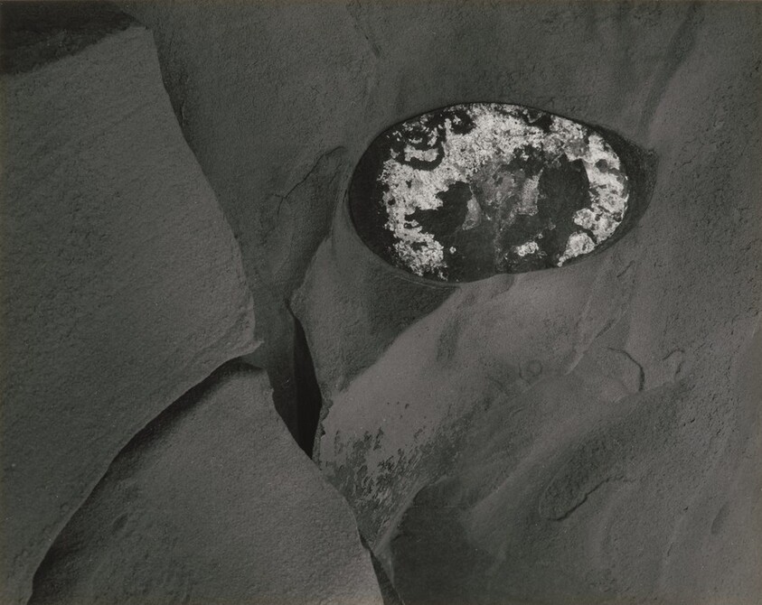 Shore Acres State Park, Oregon