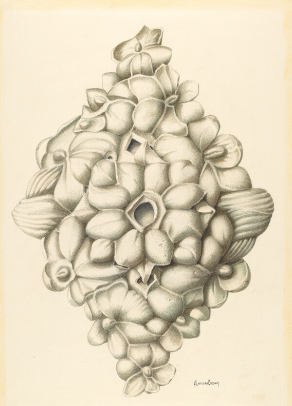 Bishop Hill: Ceiling Decoration