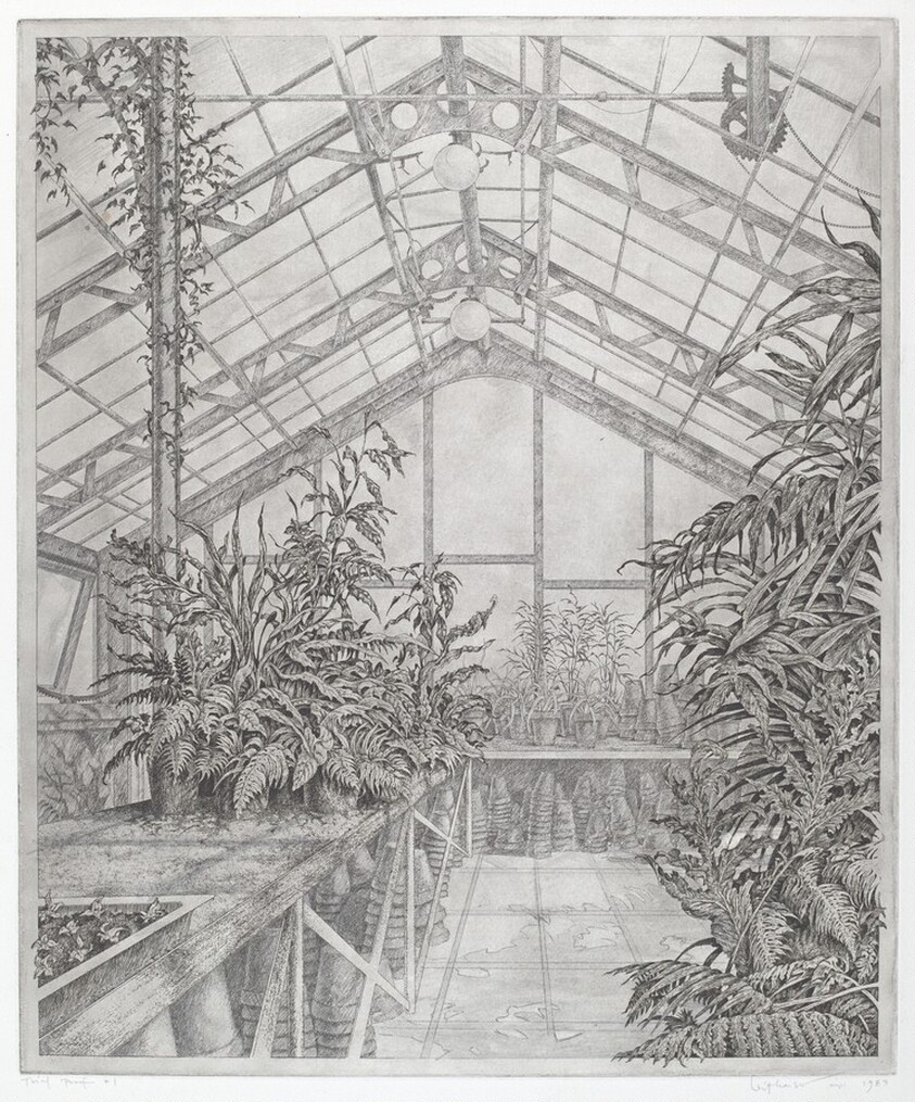 In the North Greenhouse