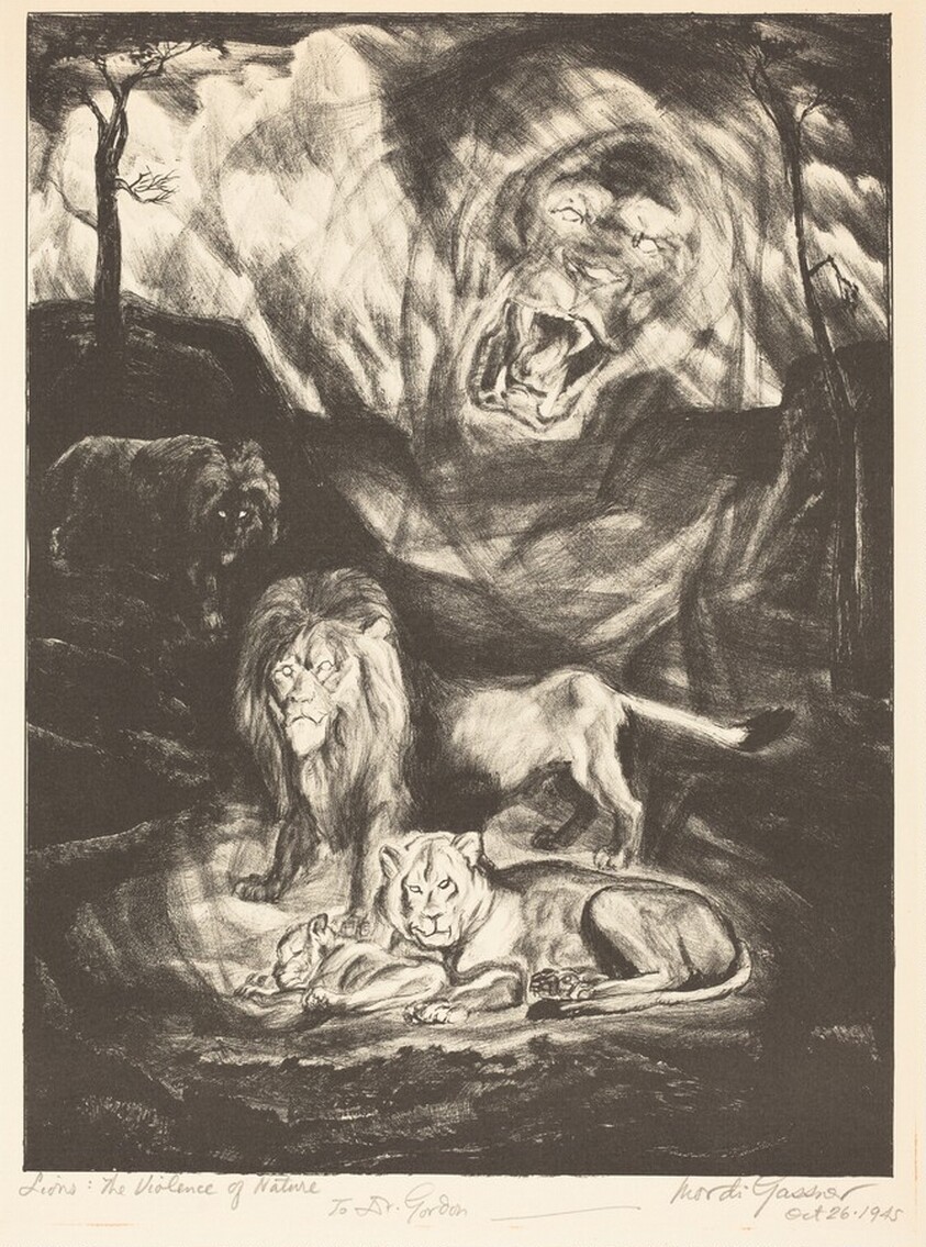 Lions: The Violence of Nature