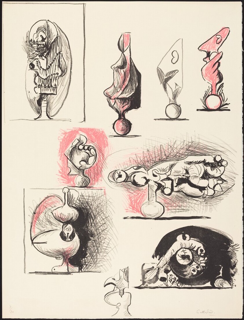 Sheet of Studies (organic forms)