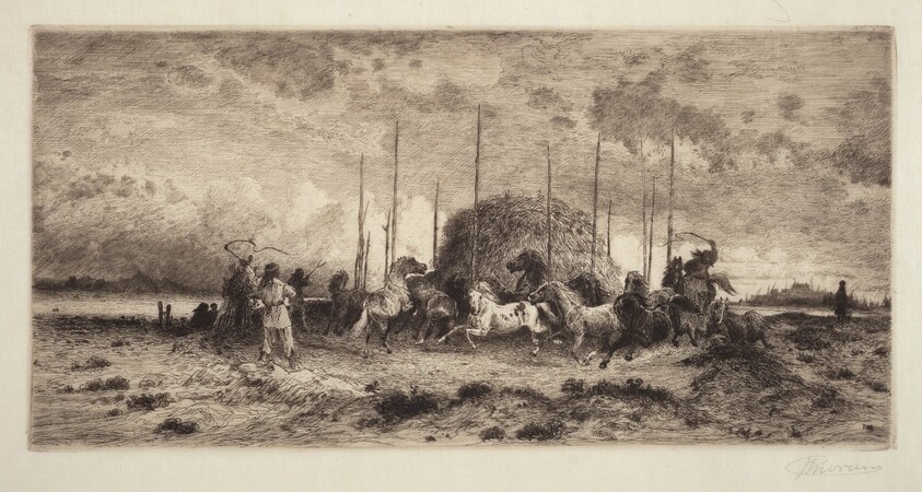 Harvest at San Juan, New Mexico