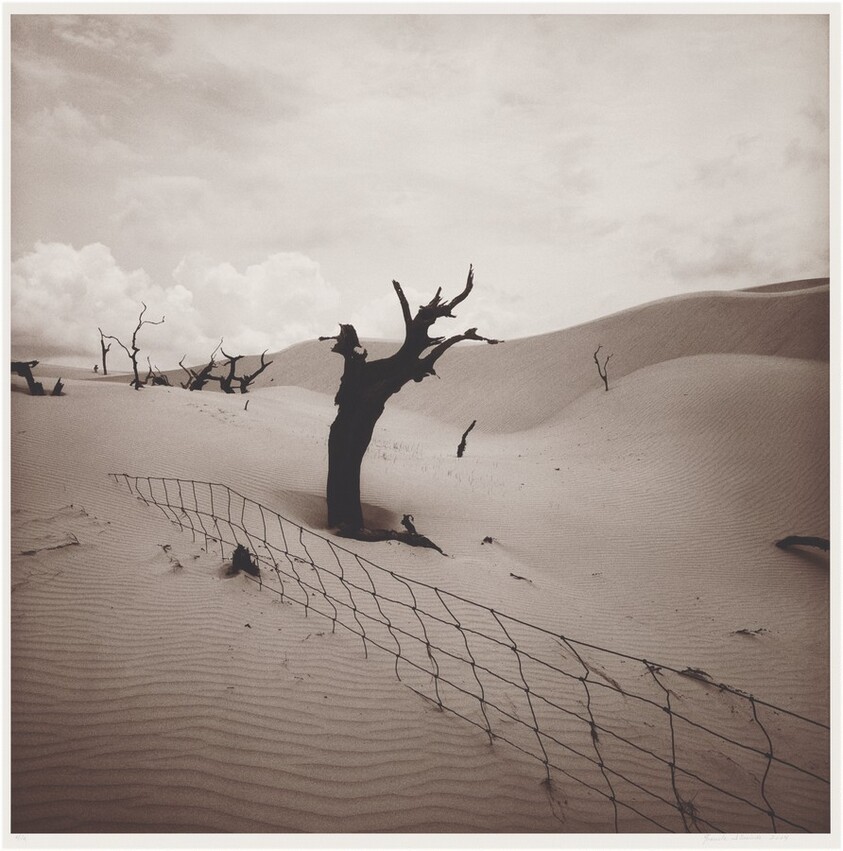 Rancho Santa Gertrudis, Sur de Texas (Santa Gertrudis Ranch, South Texas)