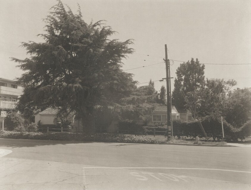 7th Street/Near San Vicente, Santa Monica