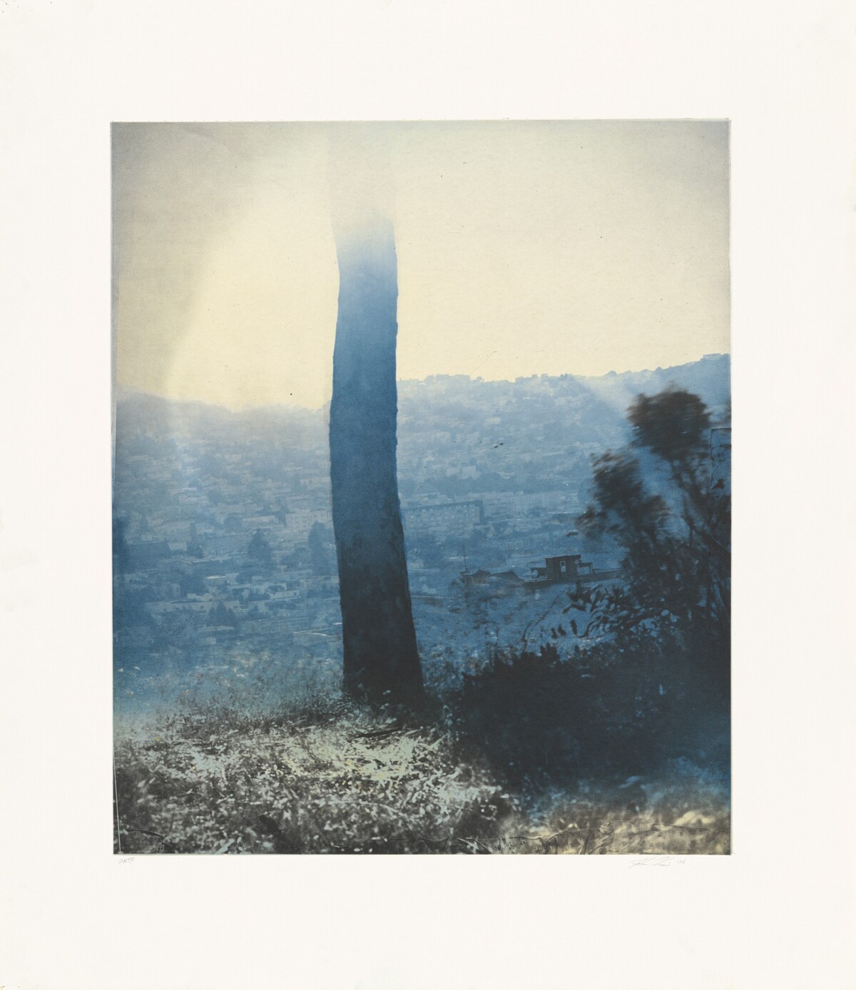 24th at Carolina (Right)