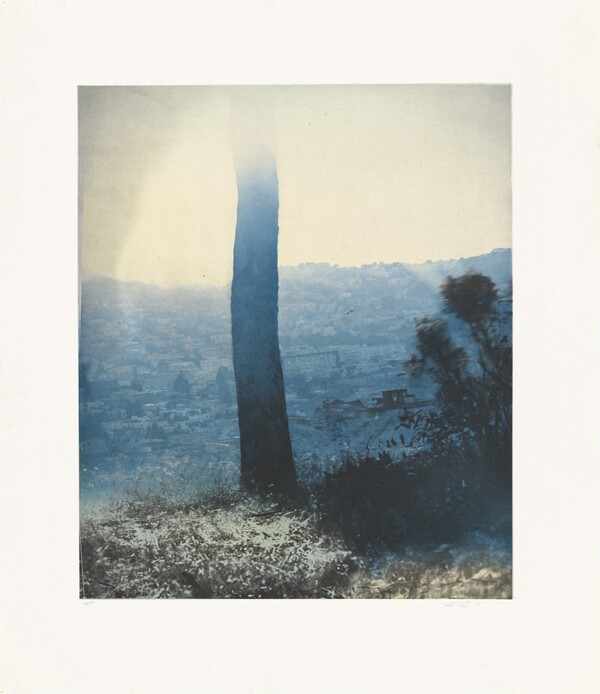 24th at Carolina (Right)