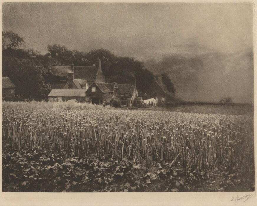 The image depicts a field with a cluster of buildings and trees in the distance. The horizon is near the top of the image, with a village against it. The scene has a soft, brushed appearance and a sepia-toned color palette. Tall plants fill the foreground, leading to the village and trees in the distance. The sky is overcast with thick clouds.