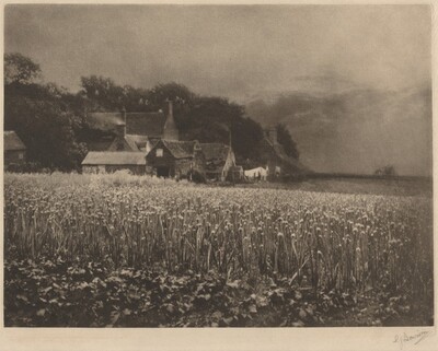 The Onion Field