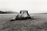 The River’s Edge, Robert Adams, 2015