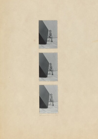 Dorothy Vogel, 7 Sided Figure