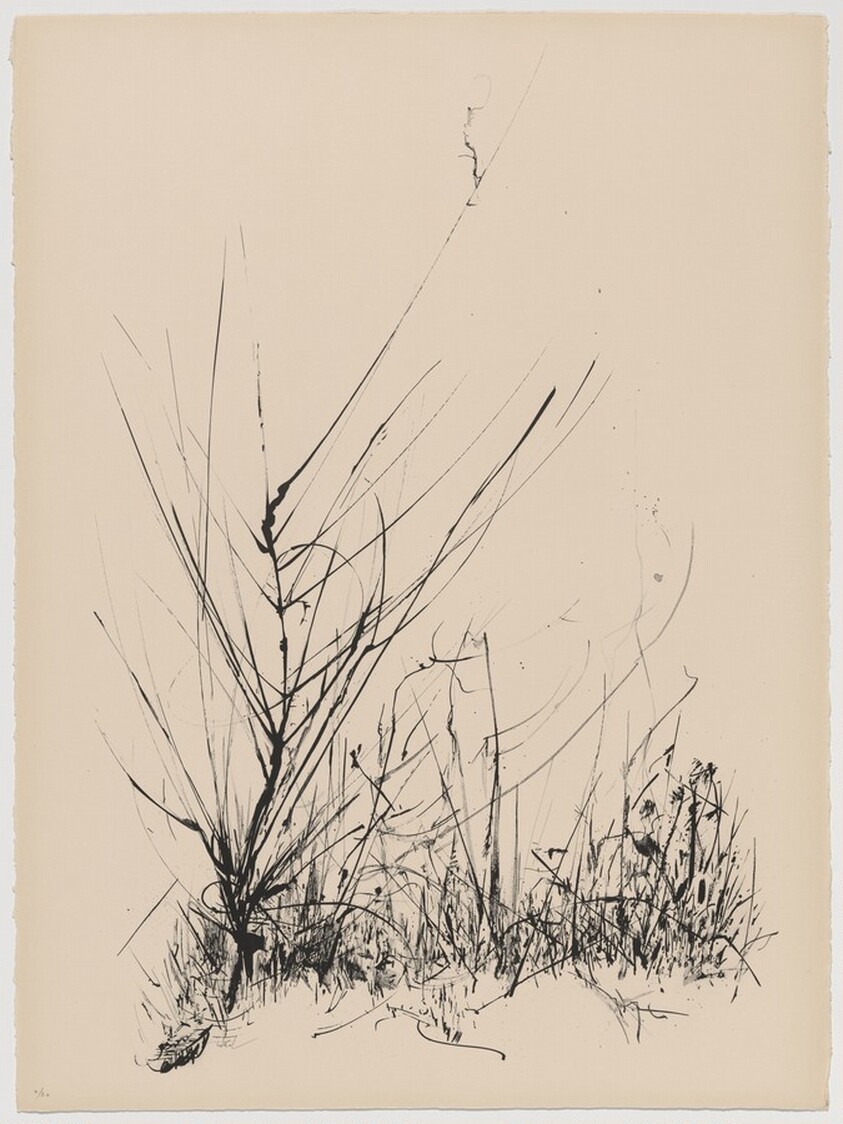 Winter Weeds from Of Nature, Of Man