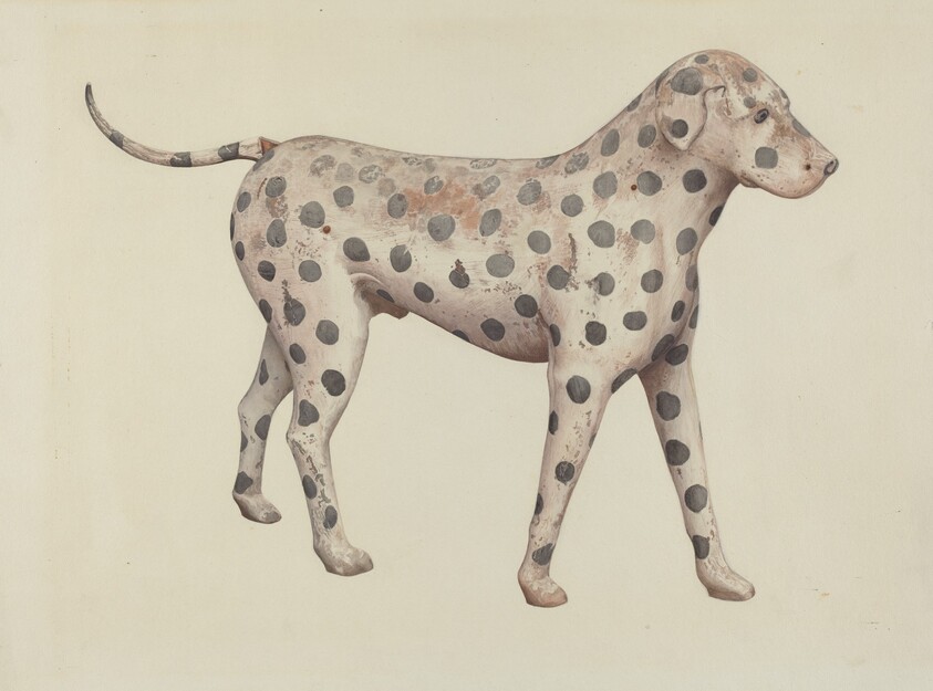 Dalmatian