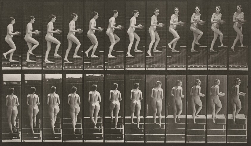 Plate Number 94. Ascending stairs and looking around with basin in hands