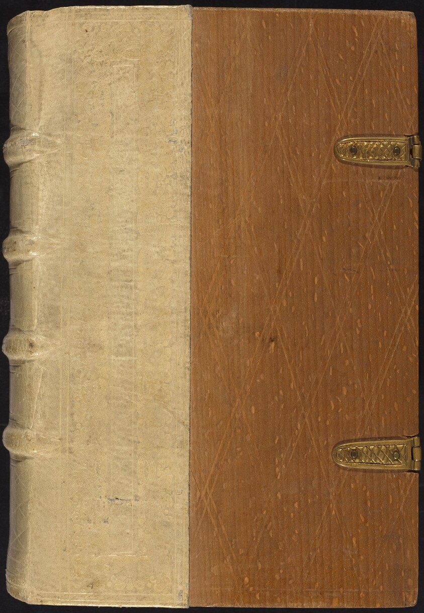 Gaistliche usslegong des lebes Jhesu Cristi