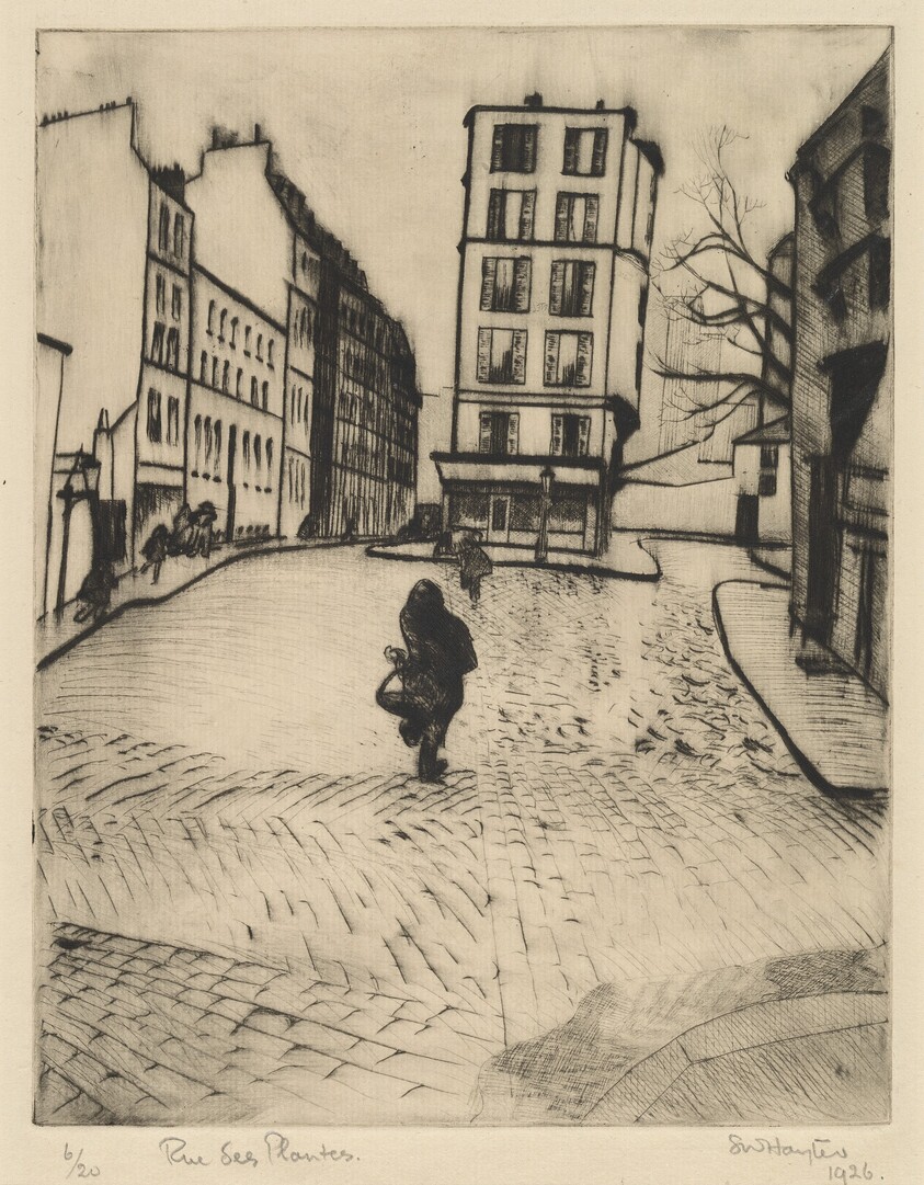 Rue des Plantes (Plants Street)