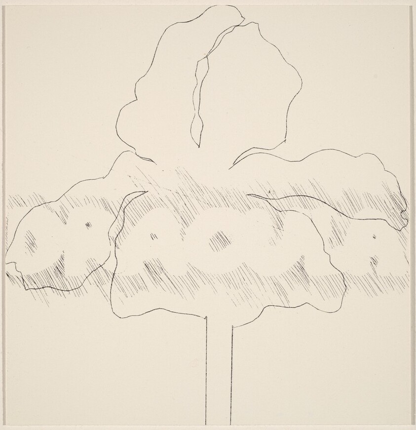 Players Dracula Segundo