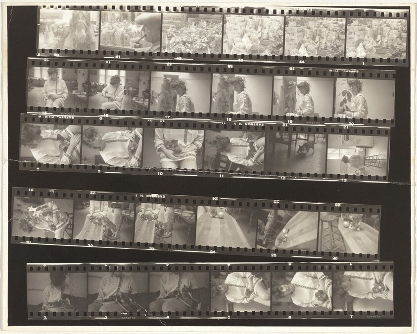 Mary with cats--Children and family no number