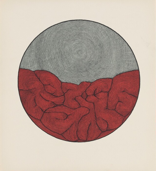 The image shows a circular composition with intricate concentric lines forming an abstract pattern. In the top half, there are densely packed swirling black lines resembling tree rings or a spiral. The bottom half transitions into red undulating forms with loosely spaced lines, resembling folded fabric or clustered coral. The image evokes a juxtaposition between the two halves, creating an abstract representation of natural elements.