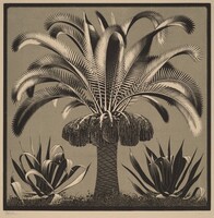 Palm, M.C. Escher, 1933