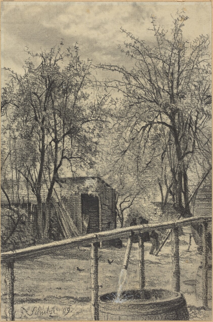 A Corner of a Rental Garden