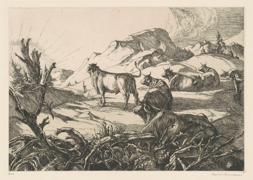 Morning in the Mountains