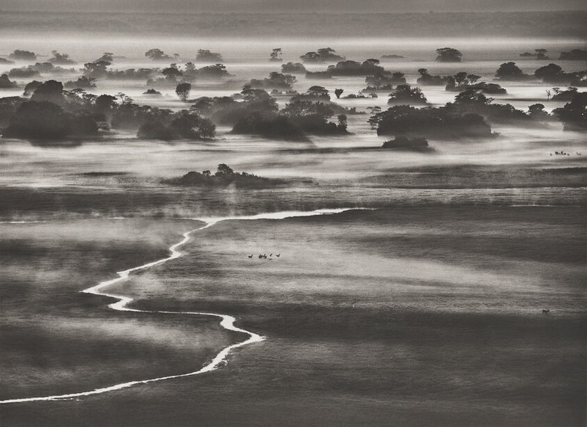 At dawn, the water in lakes and small rivers, still warm from the previous day’s sun,vaporizes and condenses to form strange and beautiful fog banks. Kafue National Park, Zambia.
