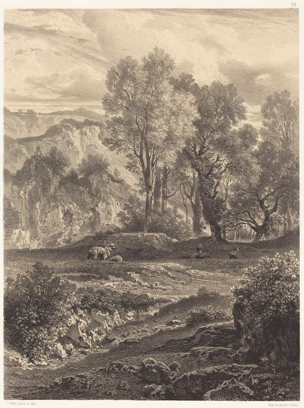 Landscape with Sheep