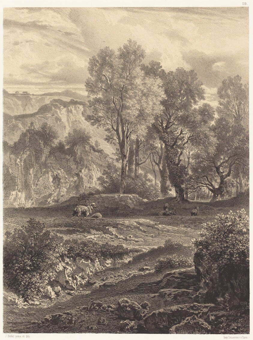 Landscape with Sheep