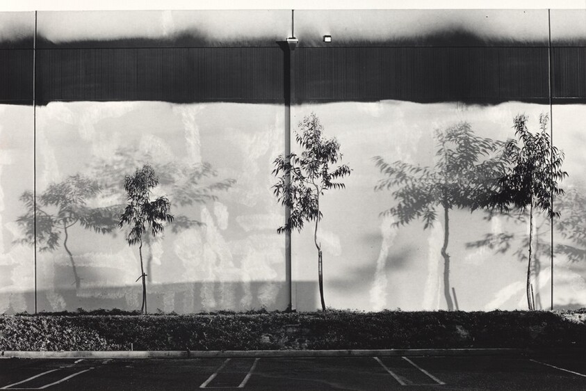 West Wall Semicoa 333 McCormick Costa Mesa