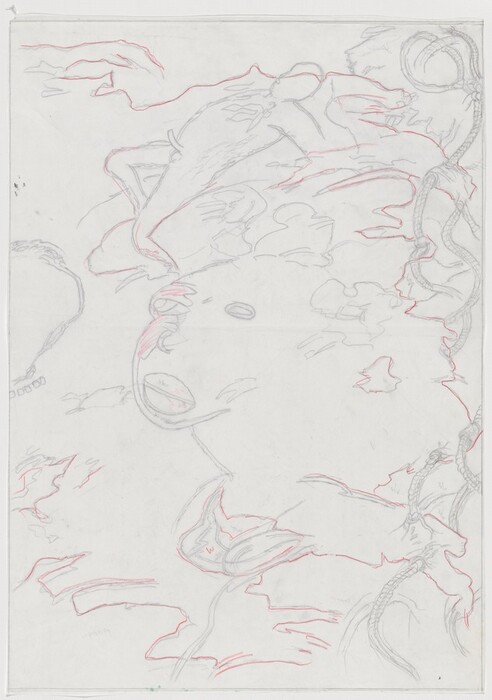 The image displays irregular and flowing lines creating an abstract composition. The lines intertwine and overlap, suggesting forms resembling objects such as serpents or vines with segments akin to braided cords. Some shapes could be interpreted as leaves or petals, adding an organic feel. Varied line thicknesses in red and gray tones contribute to movement and complexity within the chaotic arrangement.