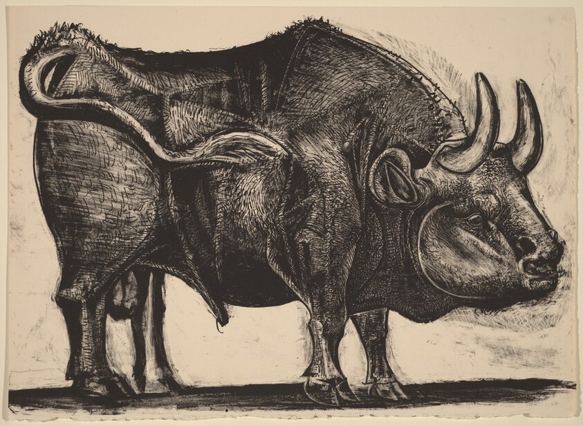 The Bull (Le taureau)