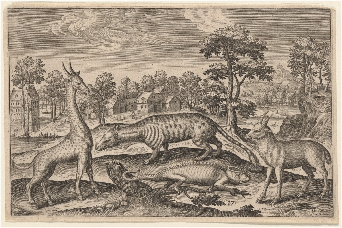 A Giraffe, a Chameleon, a Civet, and an Antelope