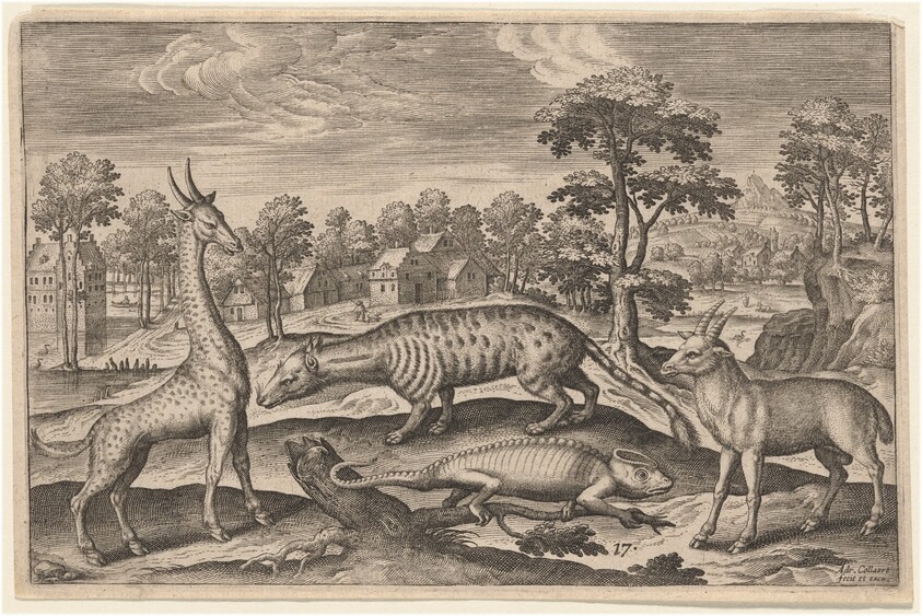 A Giraffe, a Chameleon, a Civet, and an Antelope