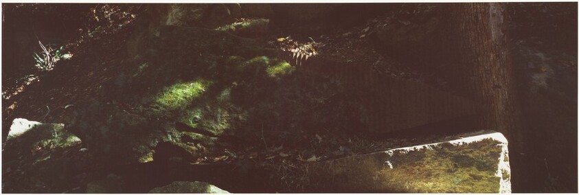 Clay/ Worked into a Stone/ Edges to Catch the Passing Light/ Government Island, Virginia