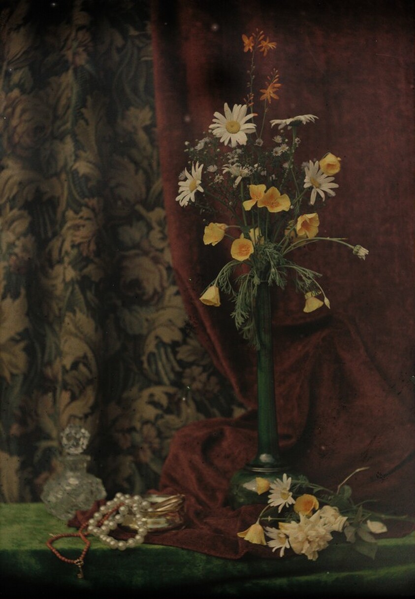 Etude de fleurs (Flower Study)