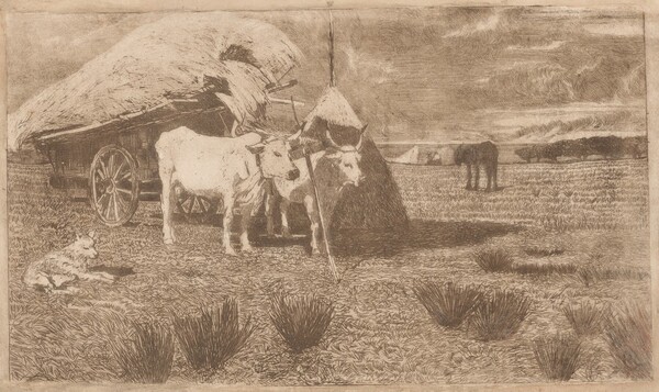 Oxen Yoked to a Cart (Maremma) (Bovi al carro (Maremma))