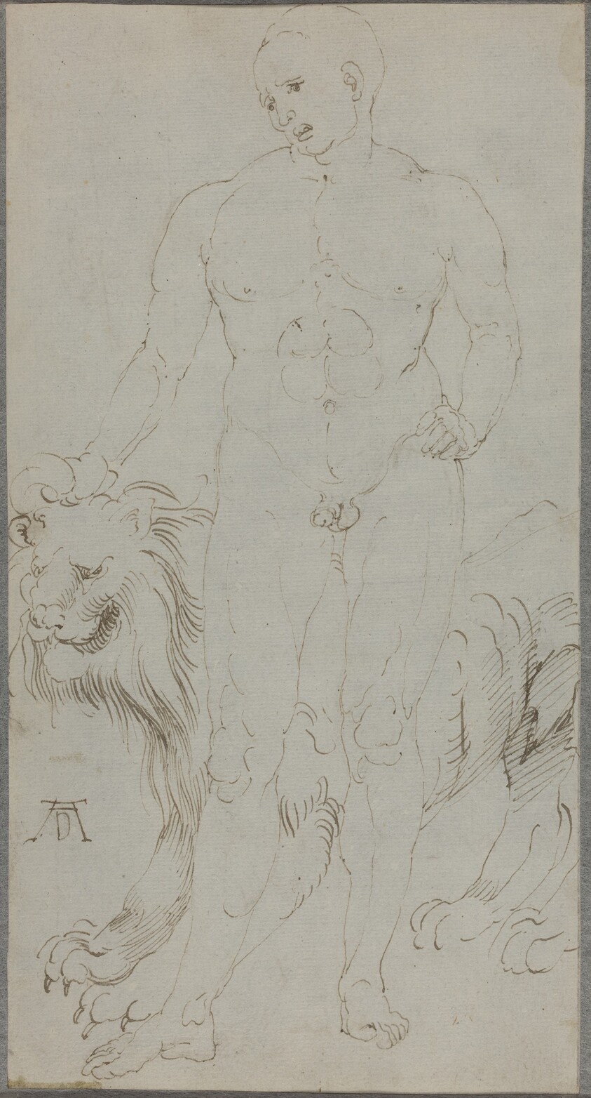 Male Nude with a Lion [verso]