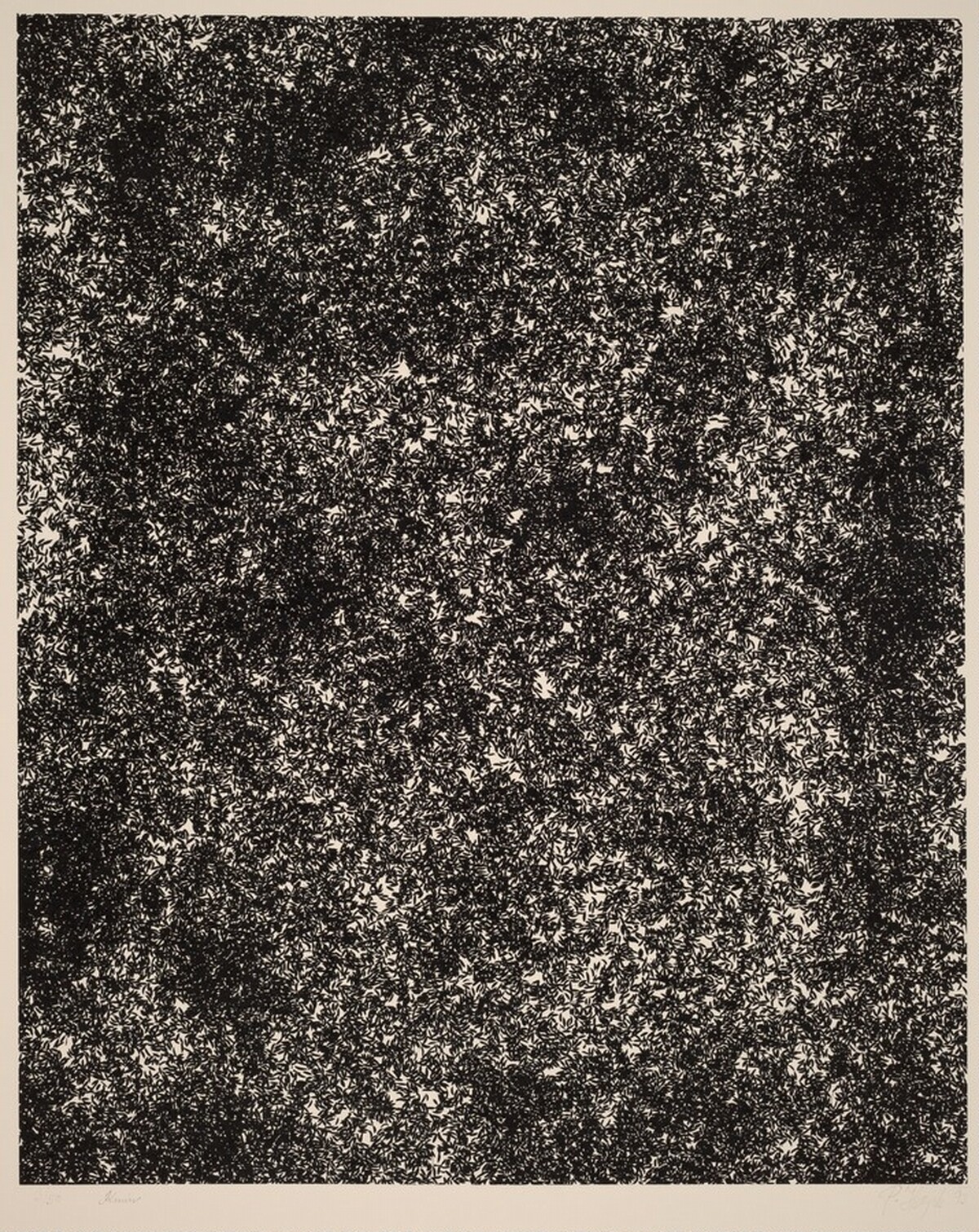 Caraway Seeds
