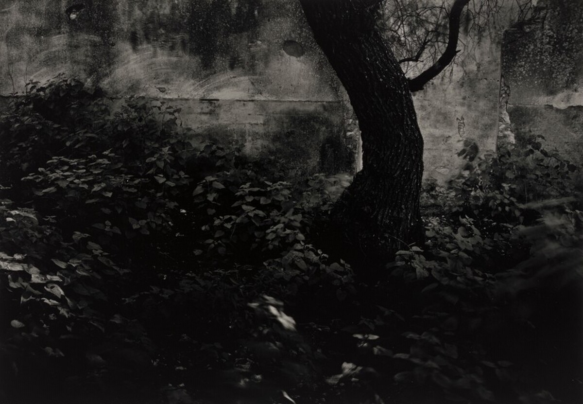 A Quality of Dancing, Pozos, Guanajuato, Mexico