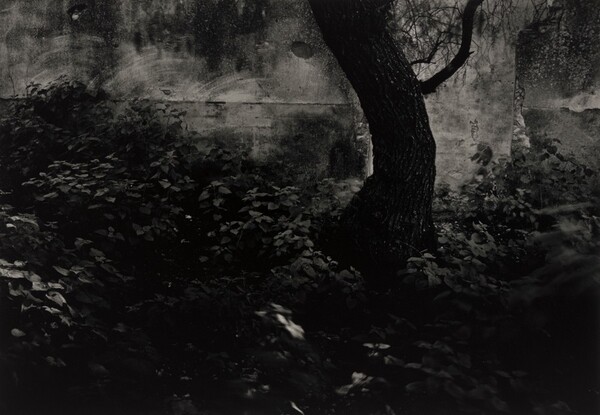 A Quality of Dancing, Pozos, Guanajuato, Mexico